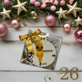 Ornament #26