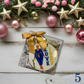 Ornament #5